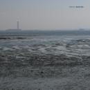 Fennesz : Black Sea [LP]