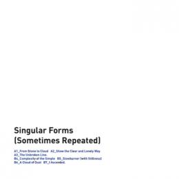 Sylvain Chauveau : Singular Forms (Sometimes Repeated)[CD]