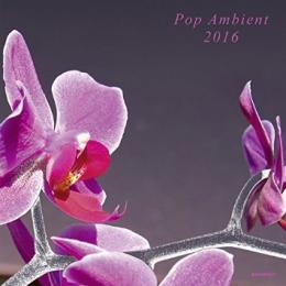 Various Artists : Pop Ambient 2016 [CD]