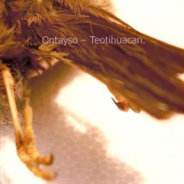 Ontayso : Teotihuacan [CD-R]