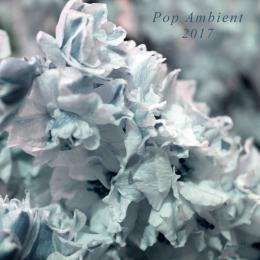 Various Artists : Pop Ambient 2017 [CD]