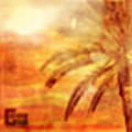 Manual & Syntaks : Golded Sun [CD]