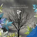 At The Close Of Every Day : Leaves You Puzzled [CD]