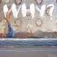 Why? : Moh Lhean [CD]