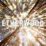 Etherwood : S/T [CD]