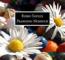 Robin Saville : Peasgood Nonsuch [CD]