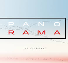 Micronaut : Panorama [CD]