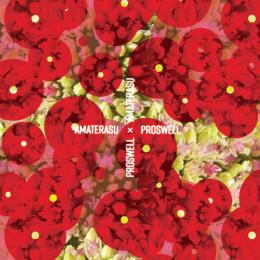 Proswell : Amaterasu [CD]