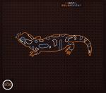 Isan : Salamander [CD]