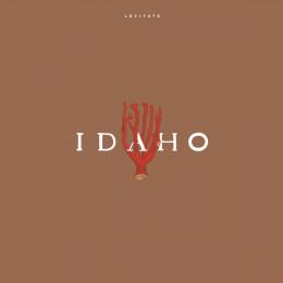 Idaho : Levitate [LP]