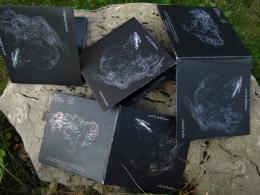Purl & Deflektion : Celestial Bodies [CD-R]