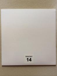 Brian Grainger : Sun-Day 14 [CD-R]