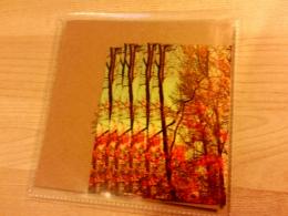 Coppice Halifax : Photovoltaic Fragments [CD-R]