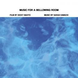 Sarah Davachi And Dicky Bahto : Music For A Bellowing Room [Blu-ray Disc + 3xCD]