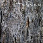 Low Bias : The Ash And The Oak [CD]